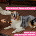 Dog Bones Chew Toys For Aggressive Chewers Real Beef Flavor Indestructible Dog Teething Chew Toys For Large Medium Small Puppies Breed Tough Pet Toy