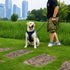 Matching Dog Harness and Leash Set with Hidden Tracker Pocket, Reflective No-Pull