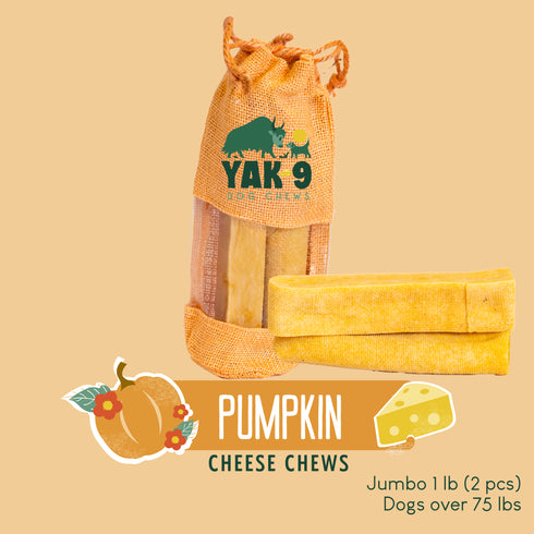 Pumpkin Yak Chews for Dogs