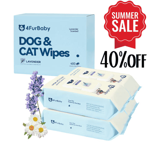 Plant-Based Dog & Cat Grooming Wipes β Gentle & Compostable Pet Wipes