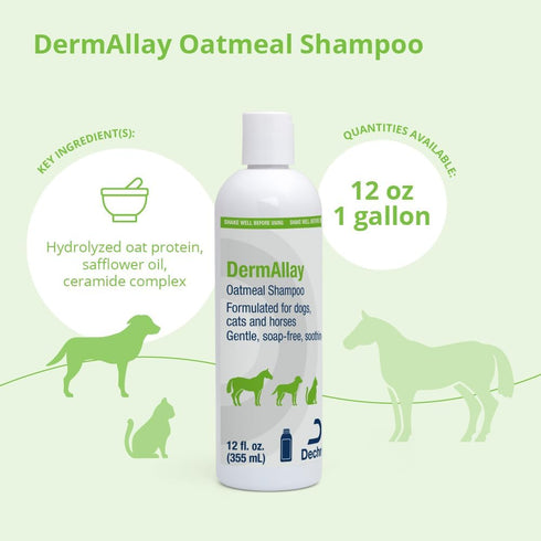 Dechra DermAllay Oatmeal Shampoo 12oz. Dogs Cats Horses Soothes Itchy Dry Skin