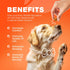 Glucosamine for Dogs Joint Supplement for Dogs Glucosamine Chondroitin 180 Hip and Joint Care Mobility Chews MSM, Turmeric Advanced Mobility Support Bone Health Large and Small Breeds