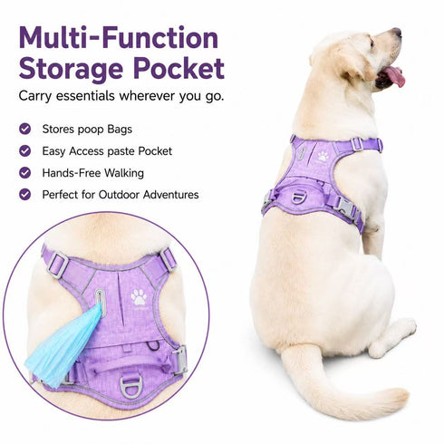Matching Dog Harness and Leash Set with Hidden Tracker Pocket, Reflective No-Pull