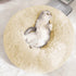 Calming Donut Dog Bed Anti-Anxiety