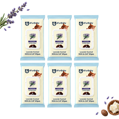 Plant-Based Dog & Cat Grooming Wipes β Gentle & Compostable Pet Wipes