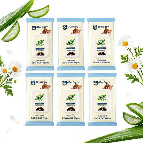 Plant-Based Dog & Cat Grooming Wipes β Gentle & Compostable Pet Wipes