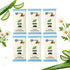 Plant-Based Dog & Cat Grooming Wipes β Gentle & Compostable Pet Wipes