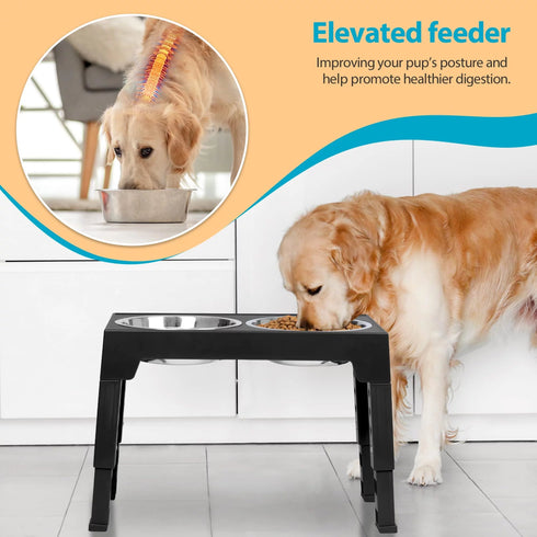 Top 10 Elevated Dog Bowl Stands with Stainless Steel Dishes