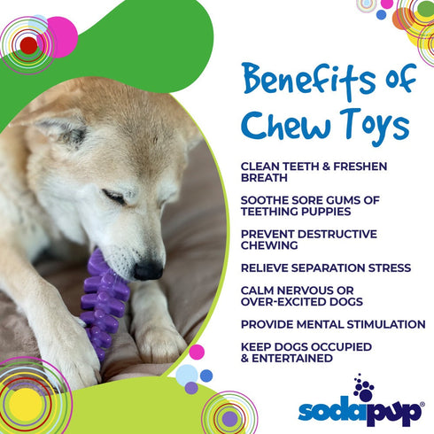 Fish Bone Nylon Dog Toy for Aggressive Chewers | USA Made | SodaPup
