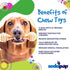 Honey Bone Nylon Dog Toy for Aggressive Chewers | USA Made | SodaPup