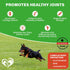 Dog Hip & Joint Chews Arthritis Pain Relief Glucosamine Chondroitin MSM & Turmeric