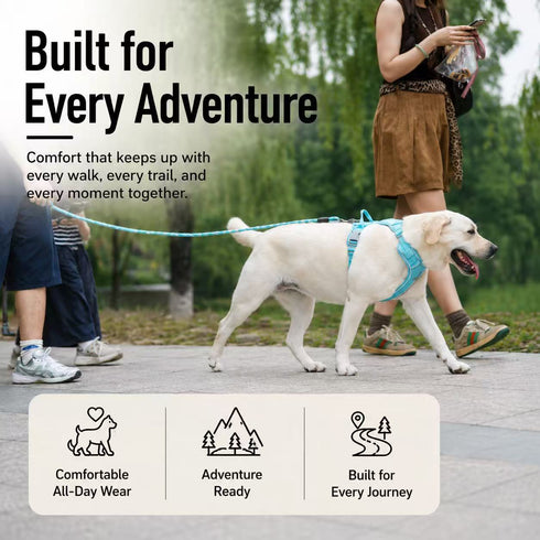 Matching Dog Harness and Leash Set with Hidden Tracker Pocket, Reflective No-Pull