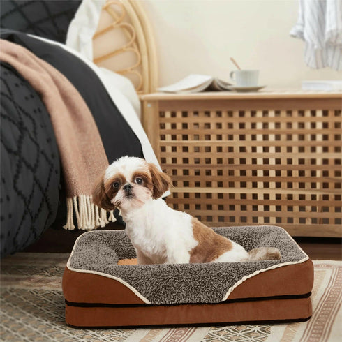 Best Orthopedic Dog Beds for Small Dogs