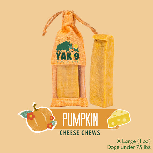 Pumpkin Yak Chews for Dogs