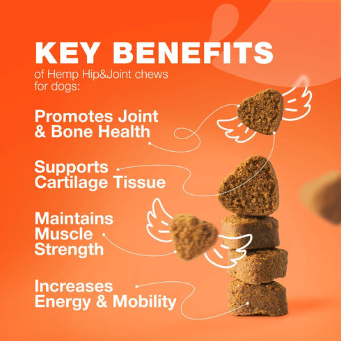 Glucosamine for Dogs Joint Supplement for Dogs Glucosamine Chondroitin 180 Hip and Joint Care Mobility Chews MSM, Turmeric Advanced Mobility Support Bone Health Large and Small Breeds