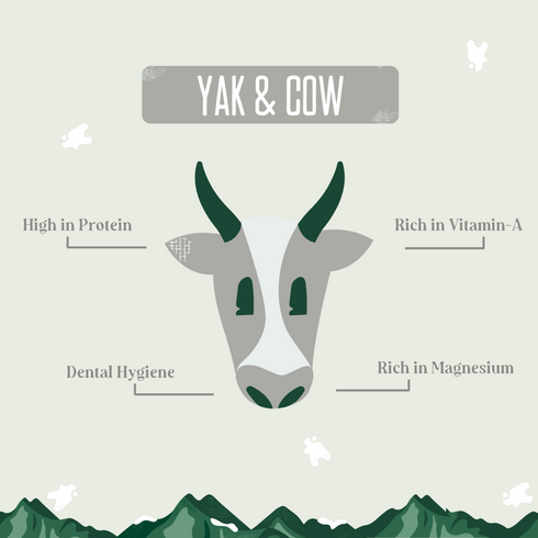 Yak and Cow Milk Chews for Dogs