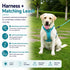 Matching Dog Harness and Leash Set with Hidden Tracker Pocket, Reflective No-Pull