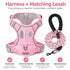 Matching Dog Harness and Leash Set with Hidden Tracker Pocket, Reflective No-Pull