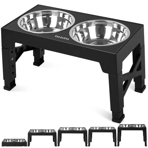 Top 10 Elevated Dog Bowl Stands with Stainless Steel Dishes