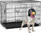 42 Inch Dog Crate, Double Door Folding Metal Wire Dog Cage with Divider and Tray, Pet Kennel Cage for Large Medium Small Dogs, L