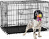 42 Inch Dog Crate, Double Door Folding Metal Wire Dog Cage with Divider and Tray, Pet Kennel Cage for Large Medium Small Dogs, L