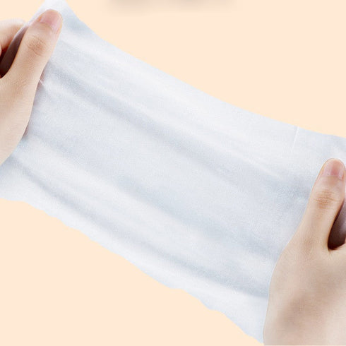 Pet Care Wet Wipes 100 Sheets Dog No-Rinse Cleaning Tissues Cat Eye Care Tear Stain Removal Wipes Wholesale