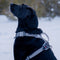 Magnetic Dog Harness with Handle - Easy On, No-Pull Design