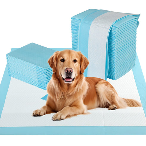 Dog and Puppy Pee Pads 36" x 36" (100 Counts) for Potty Training-Blue