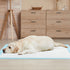 Dog and Puppy Pee Pads 36" x 36" (100 Counts) for Potty Training-Blue