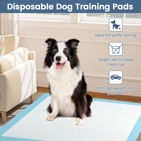 Dog and Puppy Pee Pads 36" x 36" (100 Counts) for Potty Training-Blue
