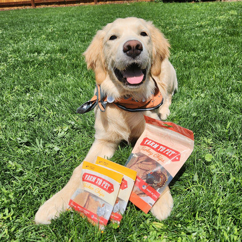 Puppy Packs 'n Snacks Dog Treat Starter Pack | Single-Ingredient Training Treats
