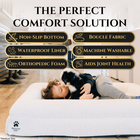 Luxury Orthopedic Dog Bed
