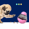 Interactive Dog Toy Slow Feeder – IQ Boosting Puzzle for Dogs & Cats