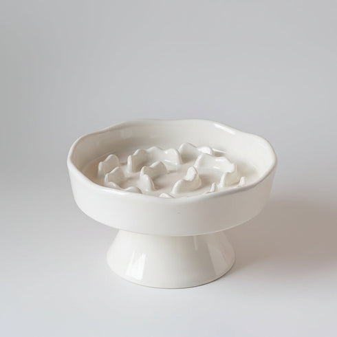 Ceramic Elevated Slow Feeder Bowl