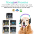 3 in 1 Probiotic Chews for Dogs