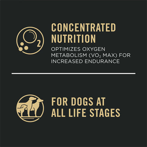 Pro Plan All Ages Sport Performance 30/20 Salmon & Rice Formula Dry Dog Food