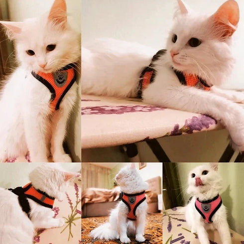 Adjustable Mesh Pet Harness with Leash, Polyester Vest Type Walking Strap for Small Medium Cats Dogs