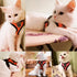Adjustable Mesh Pet Harness with Leash, Polyester Vest Type Walking Strap for Small Medium Cats Dogs