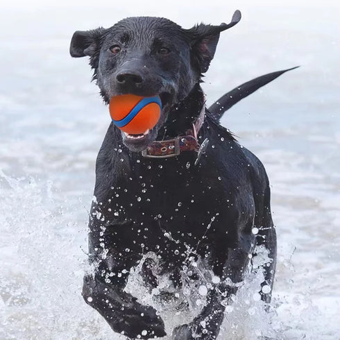 Indestructible Squeaky Ball Dog Toy Bouncy Chew Resistant Tennis Ball for Aggressive Chewers Interactive Training Play for Dogs