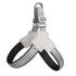 Reflective No-Pull Dog Harness – Adjustable Vest for Small & Medium Dogs