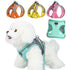 Adjustable Dog Harness & Leash Set for Small Dogs – Comfortable & Safe Walking Gear