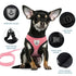 Adjustable Mesh Pet Harness with Leash, Polyester Vest Type Walking Strap for Small Medium Cats Dogs