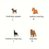 Dog Pee Pads Extra Large Training Dog Pee Pads Super Absorbent and Leak Proof, Disposable Pet Pee Pads and Dog Potty, Pet Use ,