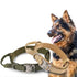 Durable Nylon Dog Collar with Reflective Leash Set