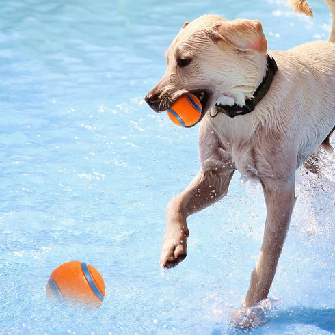 Indestructible Squeaky Ball Dog Toy Bouncy Chew Resistant Tennis Ball for Aggressive Chewers Interactive Training Play for Dogs