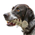 Fish Bone Nylon Dog Toy for Aggressive Chewers | USA Made | SodaPup