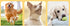 1 Set Pet Dog Trainer Clicker Training Tool With Instructions Obedience Teaching Aid Wholesale Supplies Christmas New Year Gift