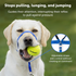 Petsafe Gentle Leader® Headcollar, No-Pull Dog Collar Black Medium