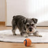 Indestructible Squeaky Ball Dog Toy Bouncy Chew Resistant Tennis Ball for Aggressive Chewers Interactive Training Play for Dogs