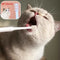 Complete Pet Toothbrush And Toothpaste Kit
